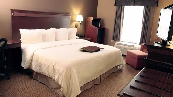 Hampton Inn & Suites Dallas DFW Airport North Grapevine | Teksas - Dallas (ve civarı) - Grapevine