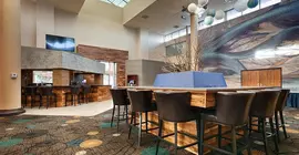 BEST WESTERN PLUS EL PASO AIRPORT HOTEL & CONFERENCE CENTER | Teksas - El Paso (ve civarı) - El Paso