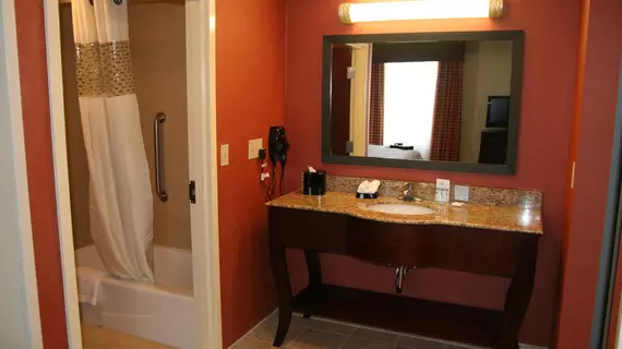 Hampton Inn & Suites Morgan City | Louisiana - Morgan City (ve civarı) - Morgan City