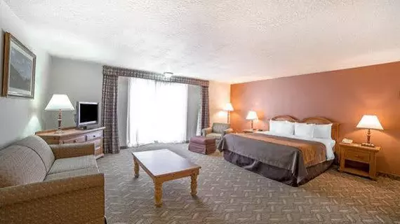 Comfort Inn Downtown Salt Lake City | Utah - Salt Lake City (ve civarı) - Salt Lake City - Salt Lake City Merkezi