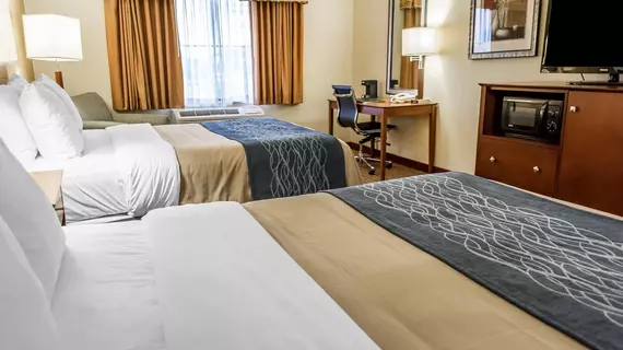 Comfort Inn and Suites Franklin | Kentucky - Bowling Green (ve civarı) - Franklin