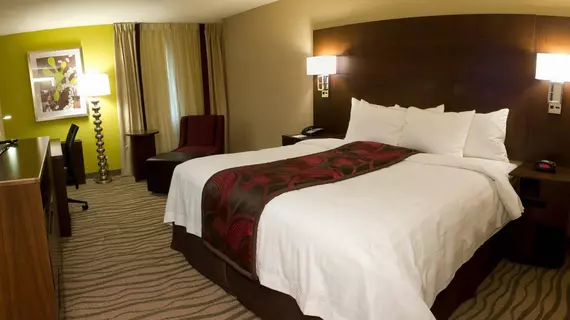 Fairfield Inn & Suites by Marriott Dallas DFW Airport South/Irving | Teksas - Dallas (ve civarı) - Irving