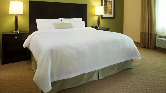 Hampton Inn & Suites Rochester/Henrietta | New York - Rochester (ve civarı) - Rochester