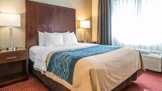 Comfort Inn Lacey | Washington - Olympia (ve civarı) - Lacey