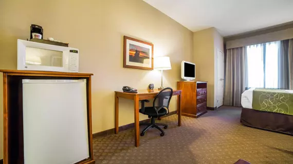 Comfort Suites Fernley | Nevada - Fallon (ve civarı) - Fernley