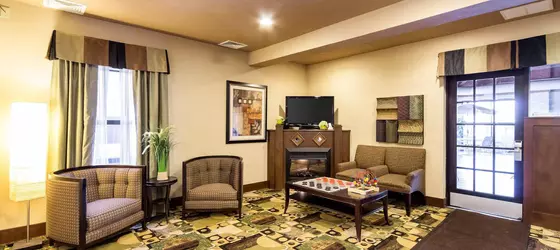 Quality Inn and Suites | Ohio - Cleveland (ve civarı) - Oakwood Village