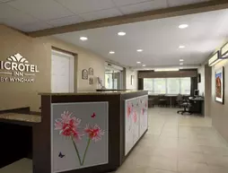 Microtel Inn By Wyndham Mineral Wells/Parkersburg | Batı Virginia - Parkersburg (ve civarı) - Mineralwells