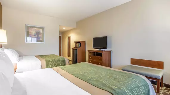 Comfort Inn & Suites Orangeburg | Güney Karolayna - Orangeburg (ve civarı) - Orangeburg