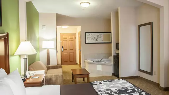 Sleep Inn & Suites Gettysburg | Pensilvanya - Gettysburg (ve civarı) - Gettysburg