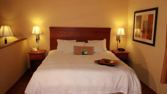 Hampton Inn La Crosse/Onalaska | Wisconsin - La Crosse (ve civarı) - Onalaska