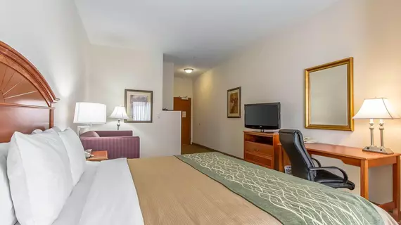 Comfort Inn and Suites Norman | Oklahoma - Oklahoma City (ve civarı) - Norman