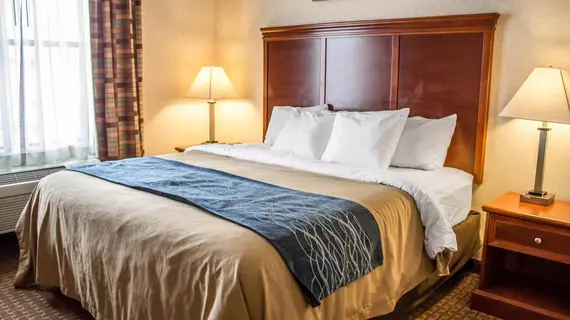 Comfort Inn & Suites Kent | Ohio - Summit İlçesi - Akron (ve civarı) - Kent