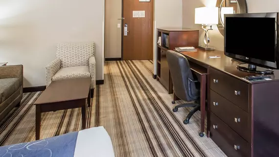 Comfort Suites Hudson | Wisconsin - Hudson (ve civarı) - Hudson