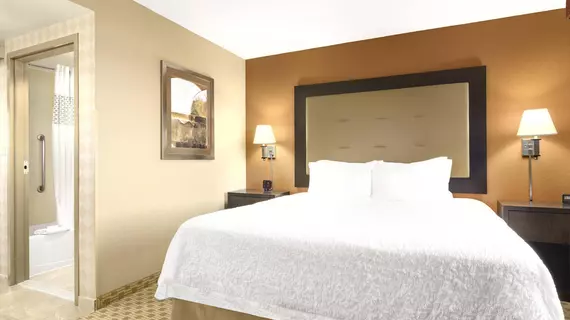 Hampton Inn & Suites Herndon-Reston | Virginia - Herndon