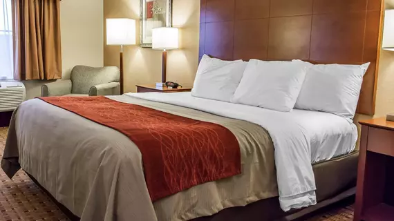 Comfort Inn and Suites Franklin | Kentucky - Bowling Green (ve civarı) - Franklin