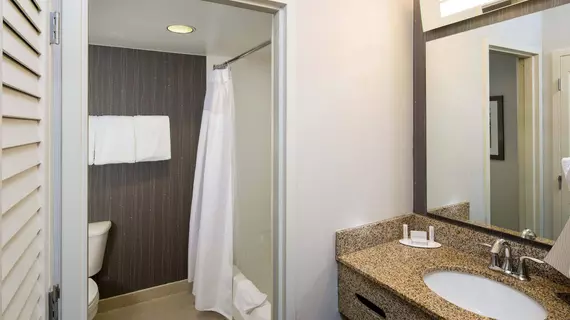 Courtyard by Marriott San Antonio Airport/North Star Mall | Teksas - San Antonio (ve civarı) - San Antonio - Kuzey San Antonio - SAT Havalimanı