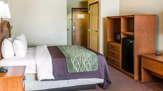 COMFORT INN & SUITES | New Mexico - Las Cruces (ve civarı) - Las Cruces