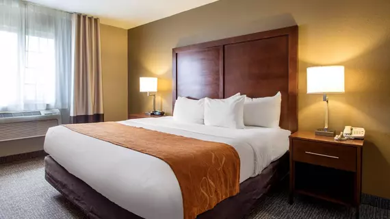 Comfort Suites Johnson Creek | Wisconsin - Fort Atkinson (ve civarı) - Johnson Creek