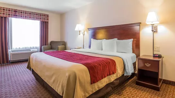 Comfort Inn & Suites Rock Springs | Wyoming - Rock Springs (ve civarı) - Rock Springs