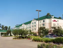 Hilton Garden Inn Houston/The Woodlands | Teksas - Conroe (ve civarı) - The Woodlands