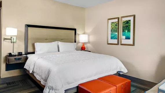 Hampton Inn and Suites by Hilton Atlanta Perimeter Dunwoody | Georgia - Atlanta (ve civarı) - Dunwoody