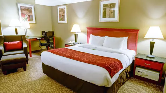 Comfort Inn Greencastle | Pensilvanya - Gettysburg (ve civarı) - Greencastle