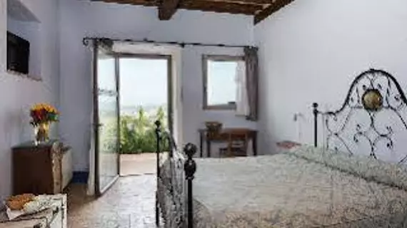 Poderi Arcangelo Agriturismo Farmhouse | Toskana - Siena (vilayet) - San Gimignano - Val d'Elsa