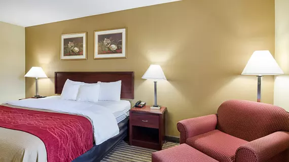 Comfort Inn New River | Batı Virginia - Beckley (ve civarı) - Fayetteville