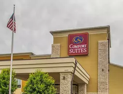 Comfort Suites Hudson | Wisconsin - Hudson (ve civarı) - Hudson