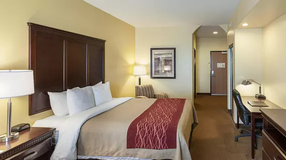 Comfort Inn Near SeaWorld | Teksas - San Antonio (ve civarı) - San Antonio - Batı San Antonio