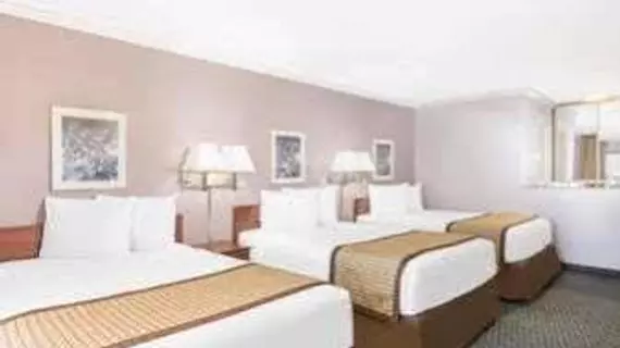 Days Inn Indio | Kaliforniya - Imperial County - Palm Springs (ve civarı) - Indio