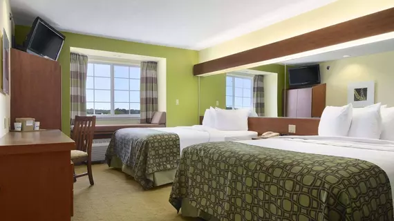 Microtel Inn & Suites by Wyndham Airport North | Teksas - San Antonio (ve civarı) - San Antonio - Kuzey San Antonio - SAT Havalimanı