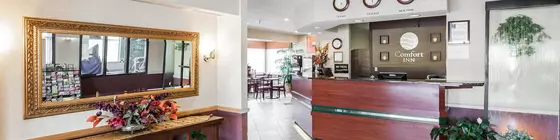 Comfort Inn Kelso | Washington - Kelso - Longview (ve civarı) - Kelso