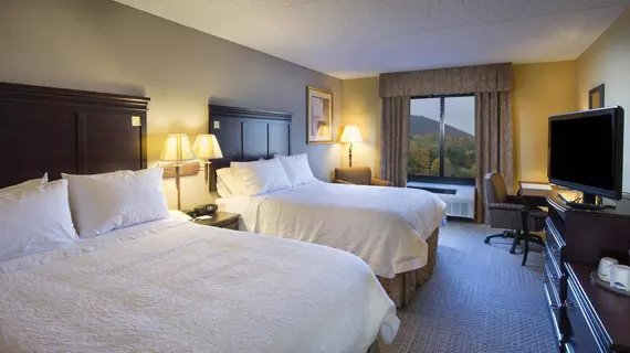 Hampton Inn Bennington | Vermont - Bennington (ve civarı) - Bennington