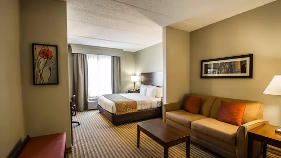 Comfort Suites - Orlando | Florida - Orlando (ve civarı) - Orlando - Universal Orlando® Tatil ve Eğlence Merkezi