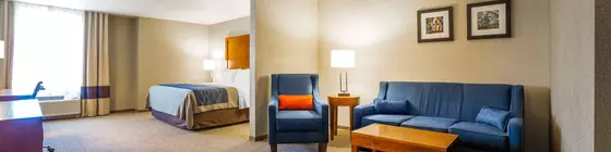 COMFORT INN & SUITES CHEYENNE | Wyoming - Cheyenne (ve civarı) - Cheyenne