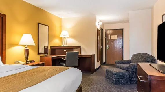 Comfort Inn Zanesville | Ohio - Zanesville (ve civarı) - Zanesville