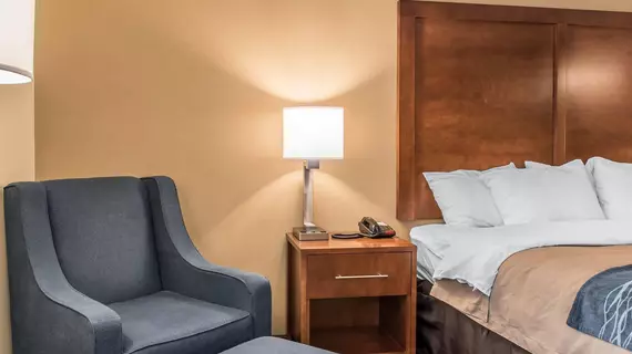 Comfort Inn Clarks Summit | Pensilvanya - Scranton (ve civarı) - Clarks Summit