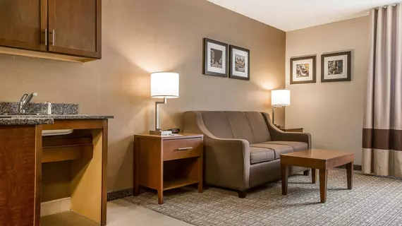 Comfort Inn Latham/Albany North | New York - Albany (ve civarı) - Latham