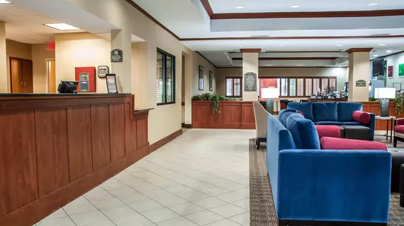 Comfort Inn Near Six Flags St. Louis | Missouri - St. Louis (ve civarı) - Pacific