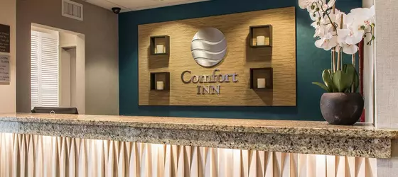 Comfort Inn | Missouri - Springfield (ve civarı) - Springfield