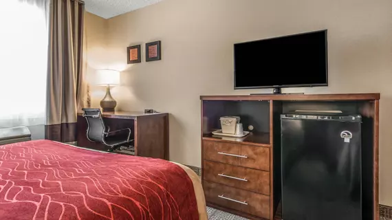 COMFORT INN WHEAT RIDGE | Kolorado - Denver (ve civarı) - Wheat Ridge