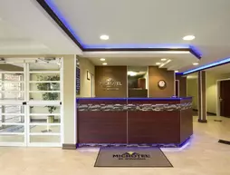 Microtel Inn by Wyndham Spartanburg Duncan | Güney Karolayna - Greenville - Spartanburg (ve civarı) - Duncan