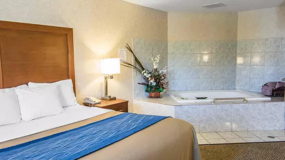 Comfort Inn Lewiston | Idaho - Lewiston (ve civarı) - Lewiston