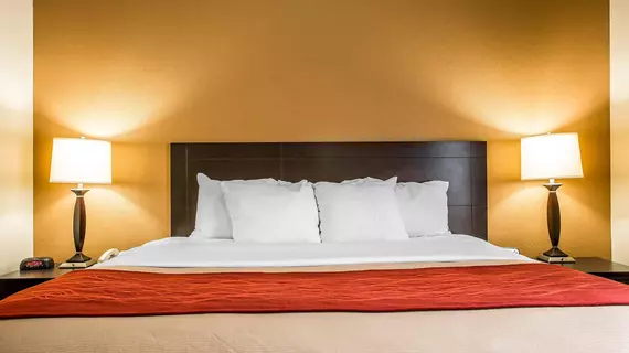 Comfort Inn & Suites Kenosha | Wisconsin - Milwaukee (ve civarı) - Kenosha