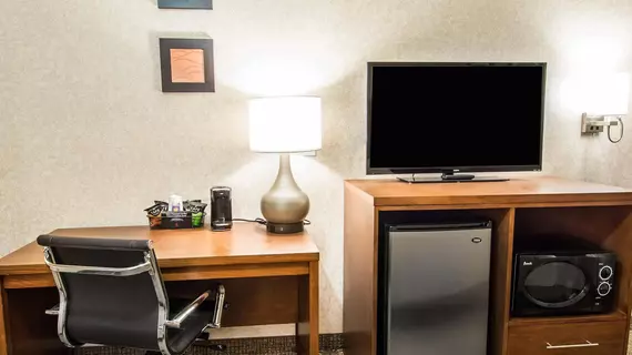 Comfort Inn Lewiston | Idaho - Lewiston (ve civarı) - Lewiston