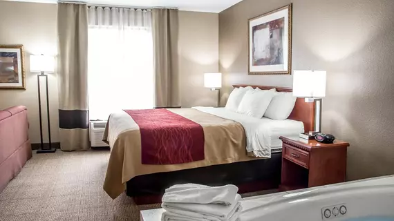 Comfort Inn Near Six Flags St. Louis | Missouri - St. Louis (ve civarı) - Pacific