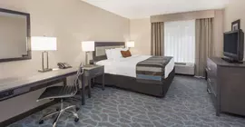 Wingate by Wyndham Alpharetta | Georgia - Atlanta (ve civarı) - Alpharetta