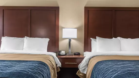 Comfort Inn Indianapolis | Indiana - Indianapolis (ve civarı) - Indianapolis