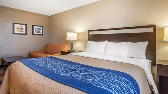 Comfort Inn Independence | Ohio - Cleveland (ve civarı) - Independence